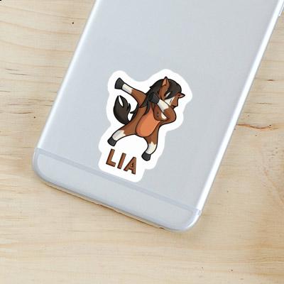 Pferd Sticker Lia Gift package Image