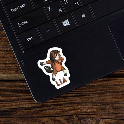 Pferd Sticker Lia Laptop Image