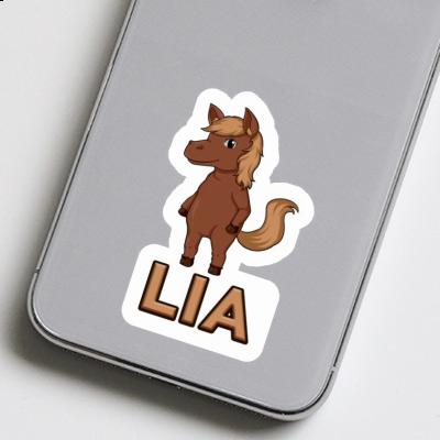 Lia Sticker Horse Gift package Image