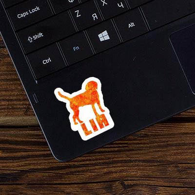 Sticker Lia Dog Laptop Image