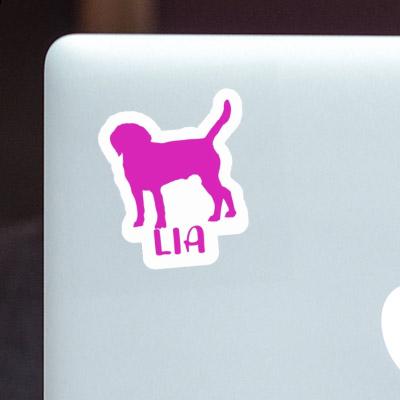 Lia Sticker Dog Gift package Image