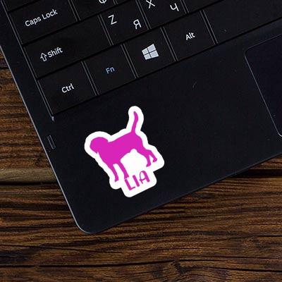 Autocollant Chien Lia Laptop Image