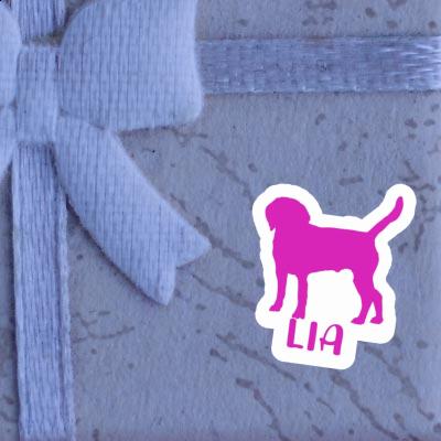 Lia Sticker Dog Gift package Image