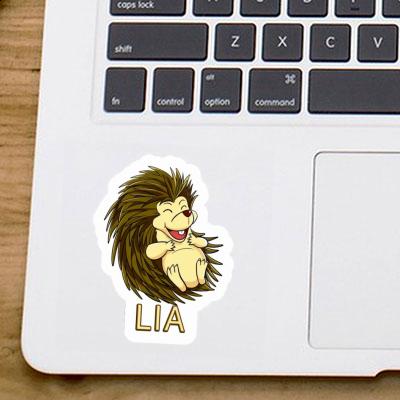 Lia Sticker Hedgehog Gift package Image