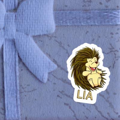 Lia Sticker Hedgehog Gift package Image