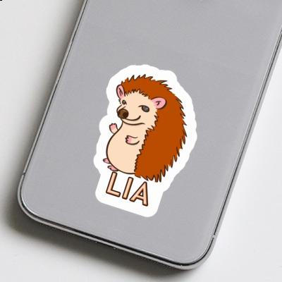 Hedgehog Sticker Lia Gift package Image