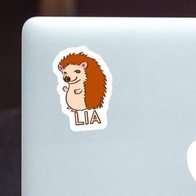 Hedgehog Sticker Lia Gift package Image