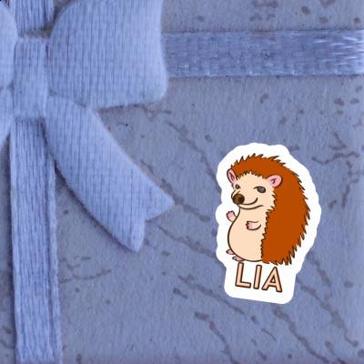 Hedgehog Sticker Lia Notebook Image