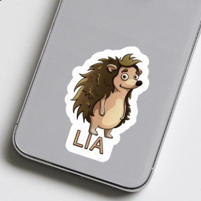 Standing Hedgehog Sticker Lia Gift package Image