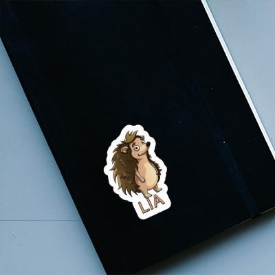 Sticker Igel Lia Notebook Image