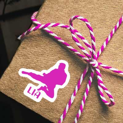 Lia Aufkleber Karateka Gift package Image