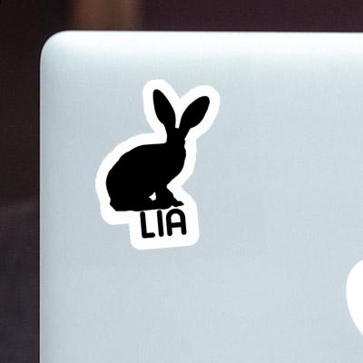 Autocollant Lapin Lia Laptop Image