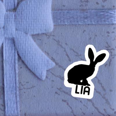 Autocollant Lapin Lia Gift package Image