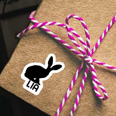 Autocollant Lapin Lia Gift package Image