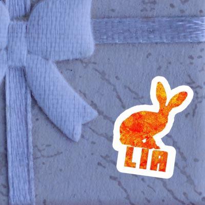 Lia Autocollant Lapin Notebook Image