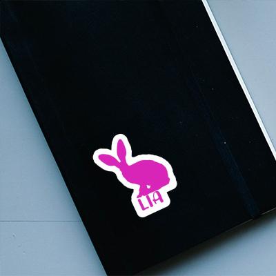 Autocollant Lia Lapin Laptop Image