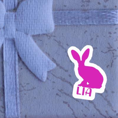 Rabbit Sticker Lia Laptop Image