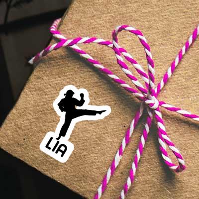 Lia Sticker Karateka Laptop Image