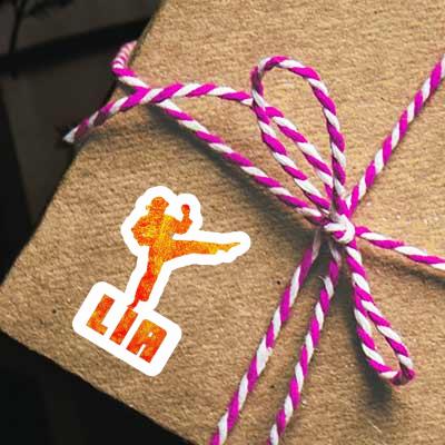 Lia Aufkleber Karateka Gift package Image