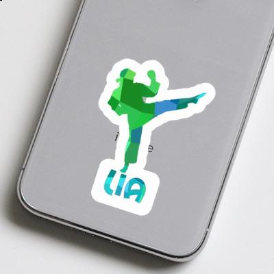 Karateka Sticker Lia Laptop Image