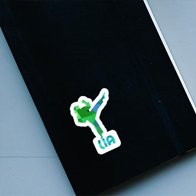 Karateka Sticker Lia Laptop Image