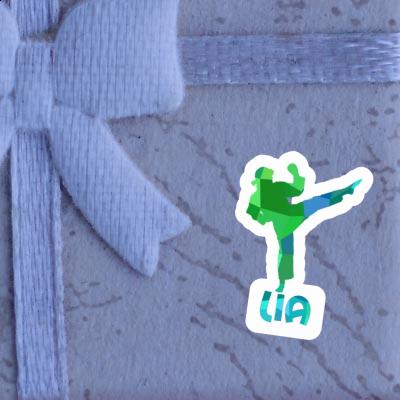 Karateka Sticker Lia Gift package Image