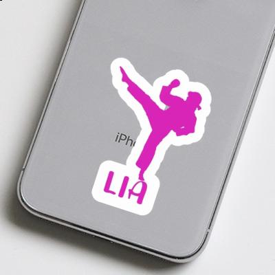 Sticker Karateka Lia Laptop Image