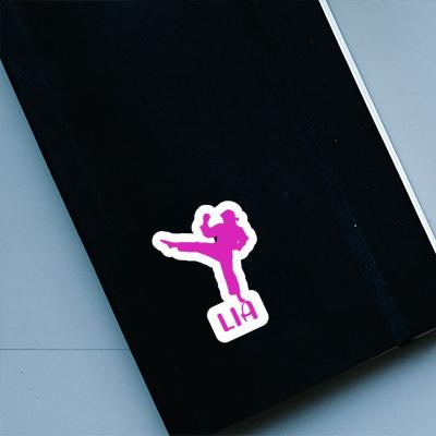 Sticker Karateka Lia Laptop Image