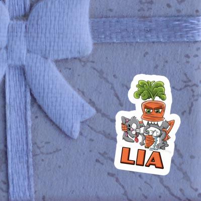 Sticker Lia Monster-Karotte Gift package Image