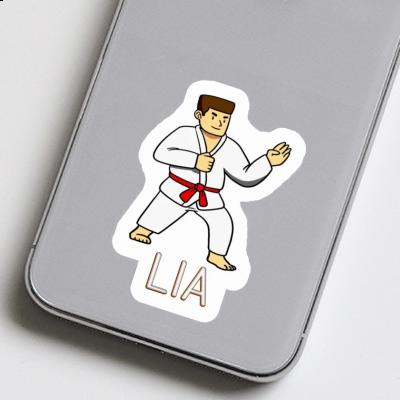 Lia Sticker Karateka Image