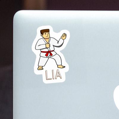 Karateka Sticker Lia Laptop Image