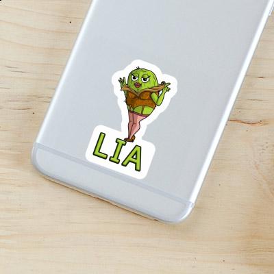 Kiwi Sticker Lia Image