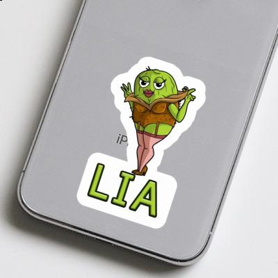 Sticker Lia Kiwi Notebook Image