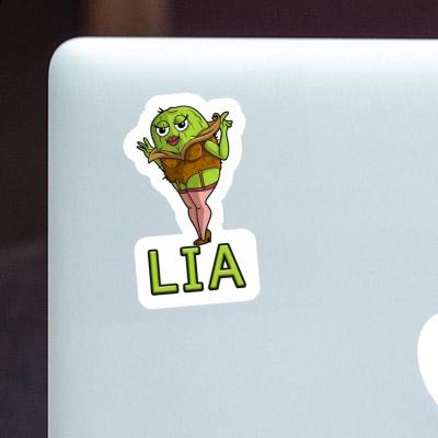 Kiwi Sticker Lia Gift package Image