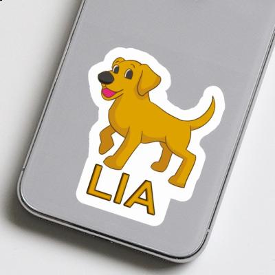 Sticker Lia Labrador Gift package Image