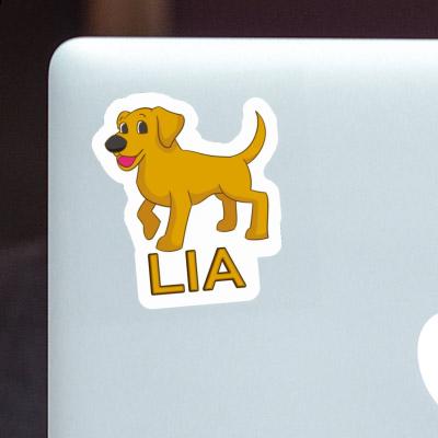 Sticker Lia Labrador Gift package Image