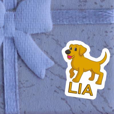 Sticker Lia Labrador Laptop Image