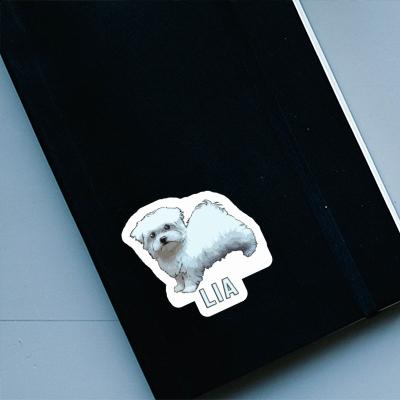 Lia Sticker Malteserhund Laptop Image