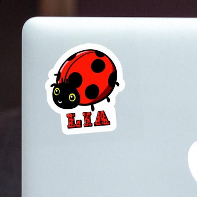 Sticker Lia Ladybug Notebook Image