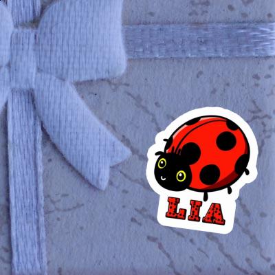 Lia Autocollant Coccinelle Gift package Image