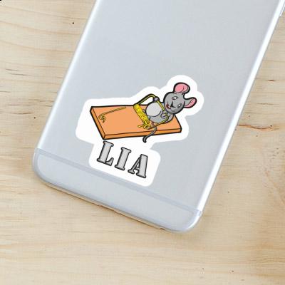 Lia Sticker Mouse Gift package Image