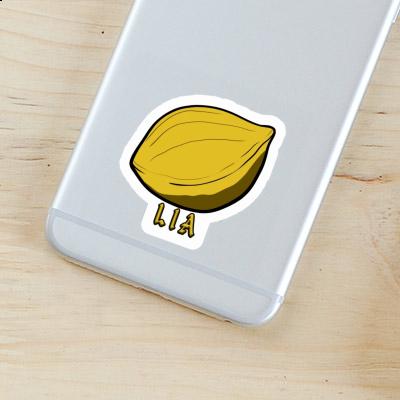 Sticker Nut Lia Laptop Image