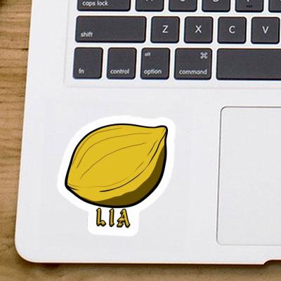 Sticker Nut Lia Laptop Image