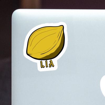 Sticker Nut Lia Gift package Image