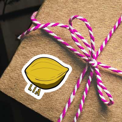 Sticker Nut Lia Gift package Image