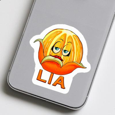 Lia Autocollant Orange Notebook Image