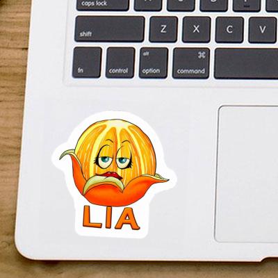 Sticker Lia Orange Gift package Image