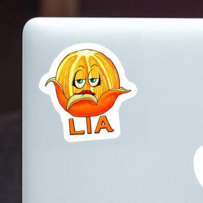 Sticker Lia Orange Gift package Image