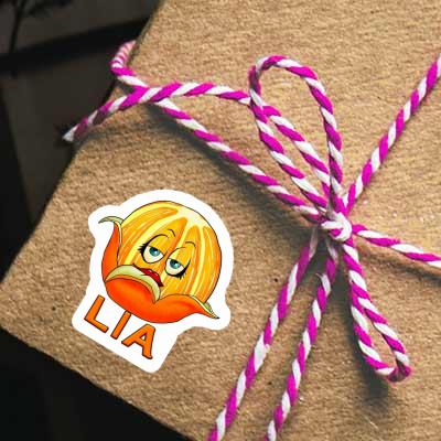 Sticker Lia Orange Notebook Image