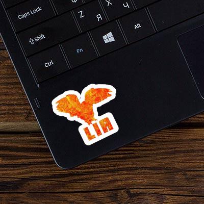 Sticker Lia Owl Laptop Image